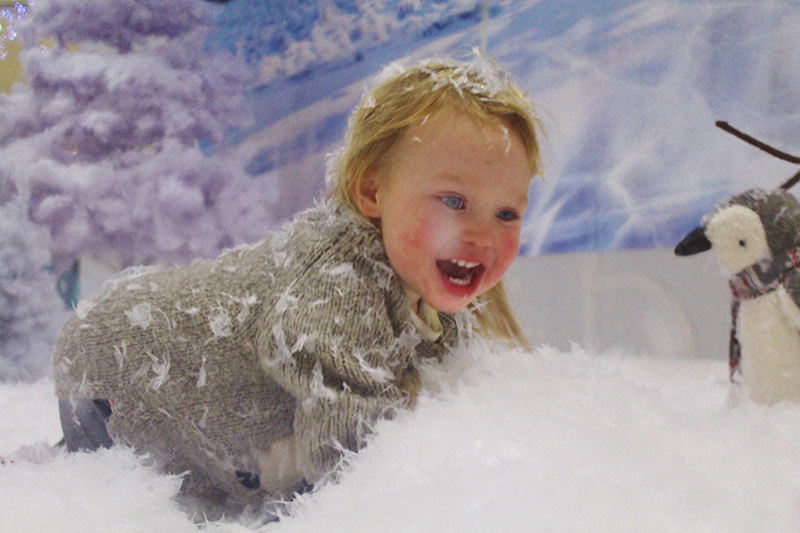 Snow Globe Experience